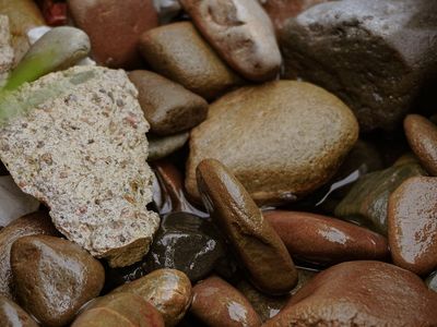 Zen garden elements with smooth stones and water.